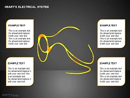 心电系统血脉四部分文字说明
