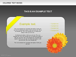 向日葵立体卡片文字说明