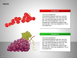 红色果子、葡萄图示