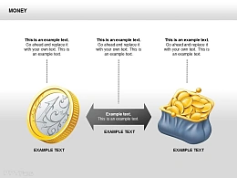 黄金硬币对比图示