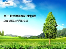 一颗树苗之绿色的大自然PPT模板下载