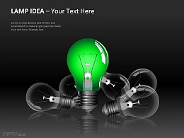 中心突显灯泡图示3