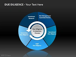 尽职调查与选拔过程