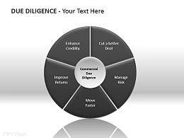 黑色圆盘尽职调查插图PPT模板下载