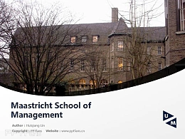 MSM powerpoint template download | 马斯特里赫特管理学院PPT模板下载