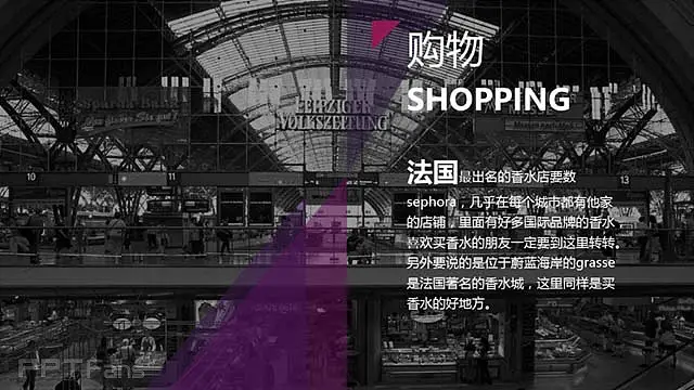 介紹歐洲的PPT_預(yù)覽圖7