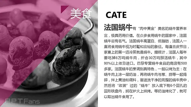 介紹歐洲的PPT_預(yù)覽圖5
