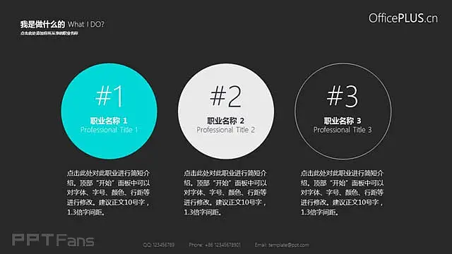 一套纯灰色的个人简历PPT模板_预览图5