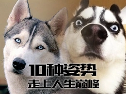 10大PPT批量技巧助你走上人生巅峰