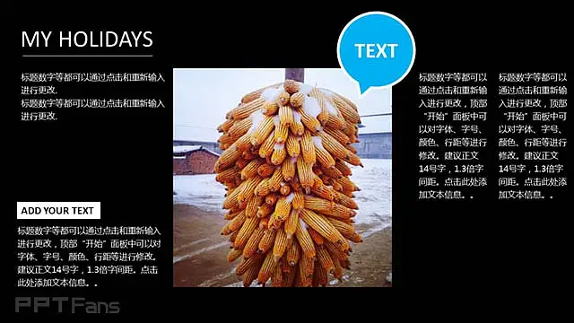 农业文化背景PPT_预览图4