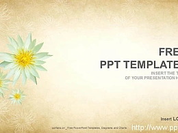 优雅花卉PPT（16:9）