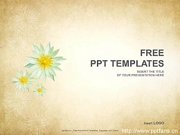 优雅花卉PPT（4:3）