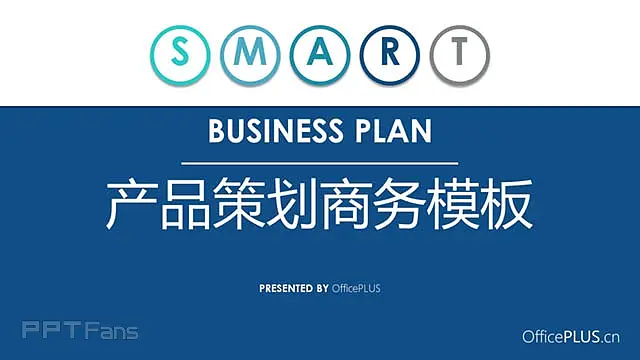 逻辑性超强的项目策划案ppt_预览图1