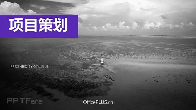 色彩风格项目策划案ppt_预览图1