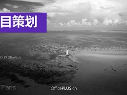 色彩风格项目策划案ppt