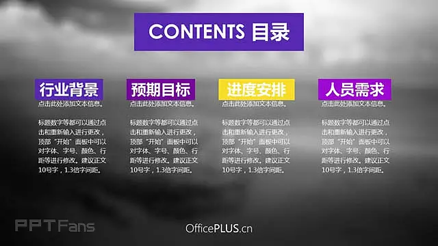 色彩风格项目策划案ppt_预览图2