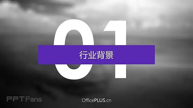 色彩风格项目策划案ppt_预览图3