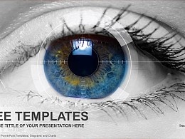 眼部视野PPT模板