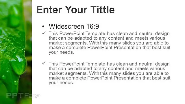 綠葉小清新PPT模板_預(yù)覽圖2