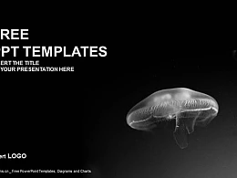可怕的水母PPT模板下载