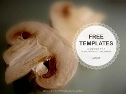 蘑菇PPT模板下载