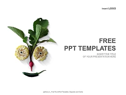 蔬菜PPT模板下载