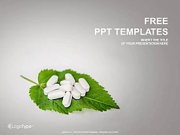 叶子上的药片PPT模板下载