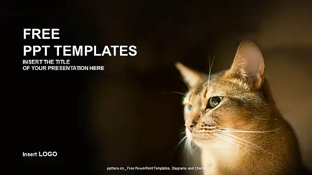 可爱猫咪PPT模板下载_预览图4
