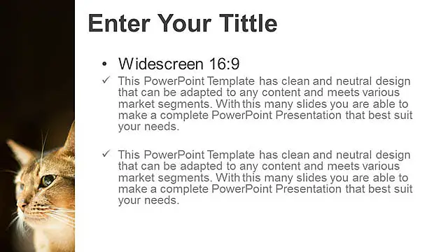 可愛貓咪PPT模板下載_預覽圖5