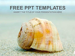 沙滩的海螺PPT模板下载
