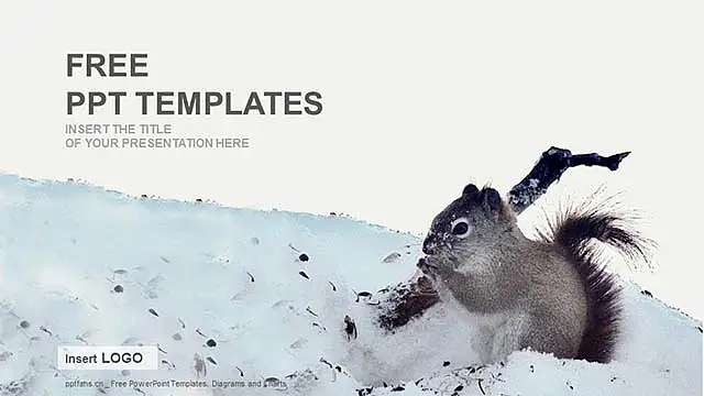 雪地里的松鼠PPT模板下载_预览图4