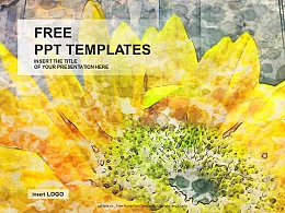 盛开的向日葵PPT模板下载