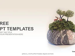 观赏石PPT模板下载