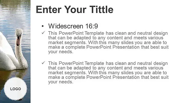 水中的天鵝PPT模板下載_預(yù)覽圖5