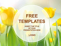 黄色郁金香大自然背景PPT模板下载