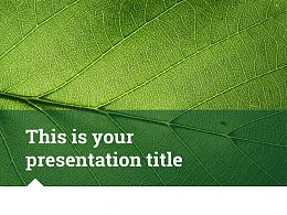 简约绿叶风格优质商务PPT模板