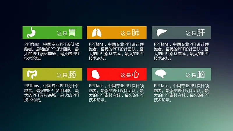 胃、肺、肝、肠、心、脑的介绍ppt素材模板_预览图1