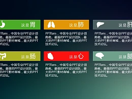 胃、肺、肝、肠、心、脑的介绍ppt素材模板
