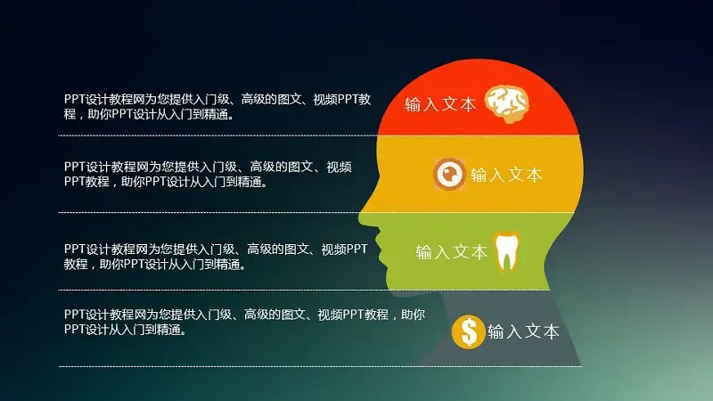 人头/大脑各部位解释说明PPT素材_预览图1