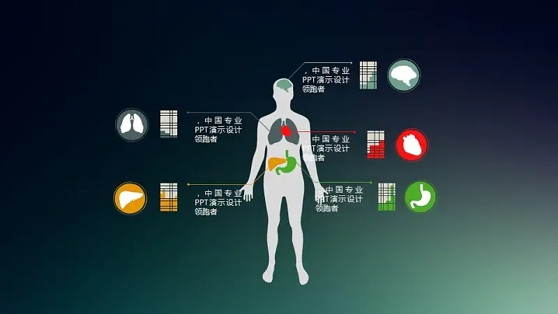 人体大脑、肺、心脏、胃、肝脏说明PPT素材下载_预览图1