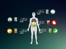 人体大脑、肺、心脏、胃、肝脏说明PPT素材下载