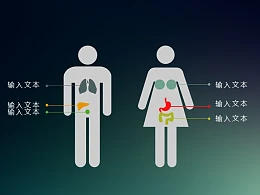男性与女性的身体差异分析PPT素材