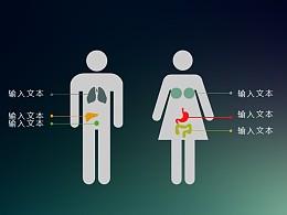 男性与女性的身体差异分析PPT素材