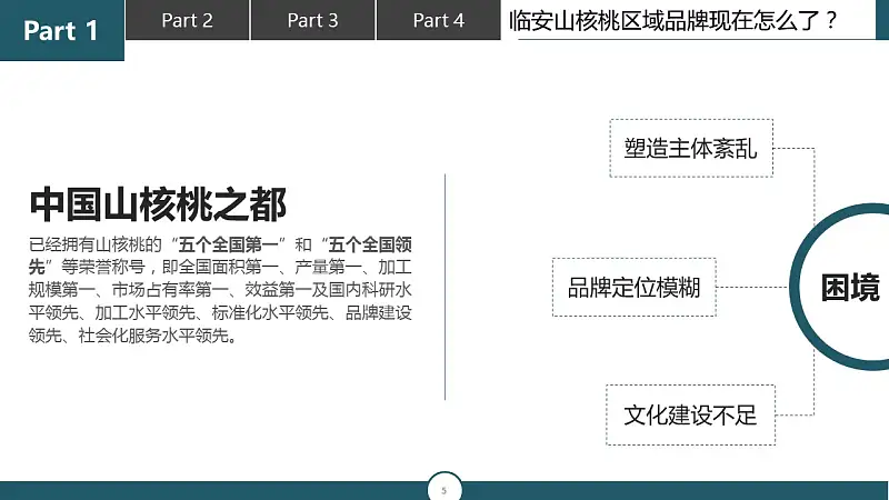 调研报告类型的PPT模板下载_预览图5