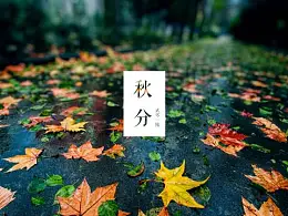 教你内容少如何用色块让PPT变得漂亮与高端