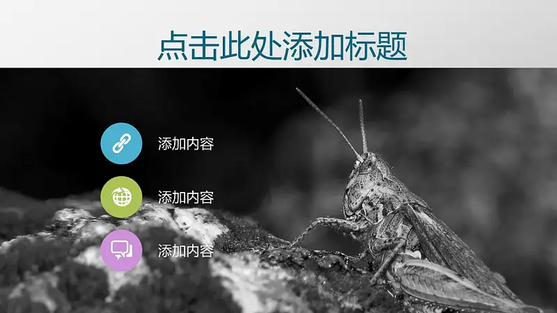 项目策划商务通用PowerPoint模板下载_预览图4
