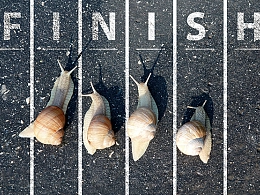 【iSlide】天哪，这个PPT里“藏”了16115个版式！！（案例解析）