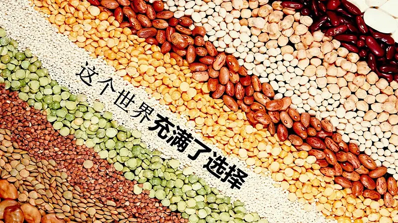 互聯(lián)網(wǎng)時(shí)代的營銷方式PPT模板下載_預(yù)覽圖4