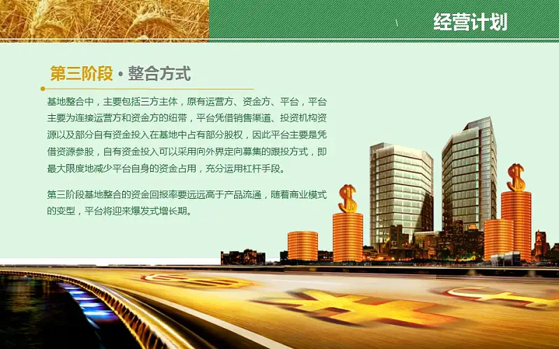 农业项目规划方案PPT模板下载_预览图19