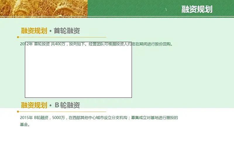 农业项目规划方案PPT模板下载_预览图21